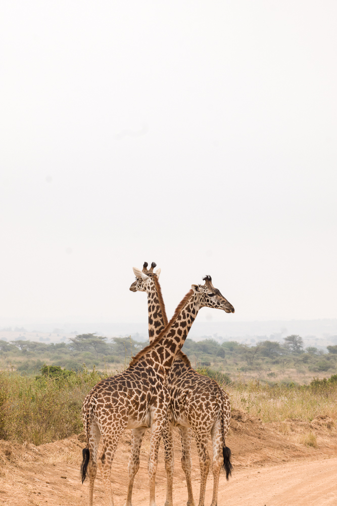 nairobi